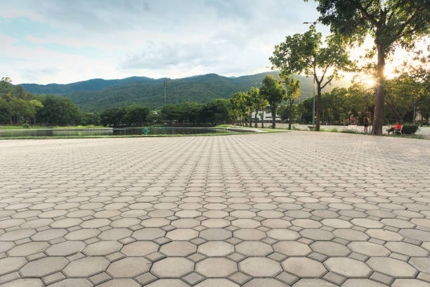 Best Driveway Pavers Contractor  in Burbank, WA